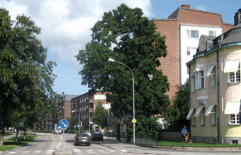 Norr, Strandgatan. Foto: Mats Ohlin, aug 2009.